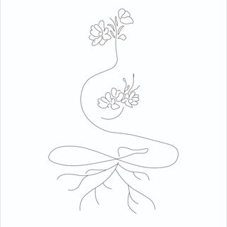 Alma & Raíces Psicología